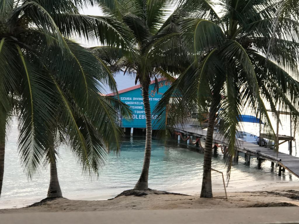 The Palapa House Hotel San Pedro  Exterior photo