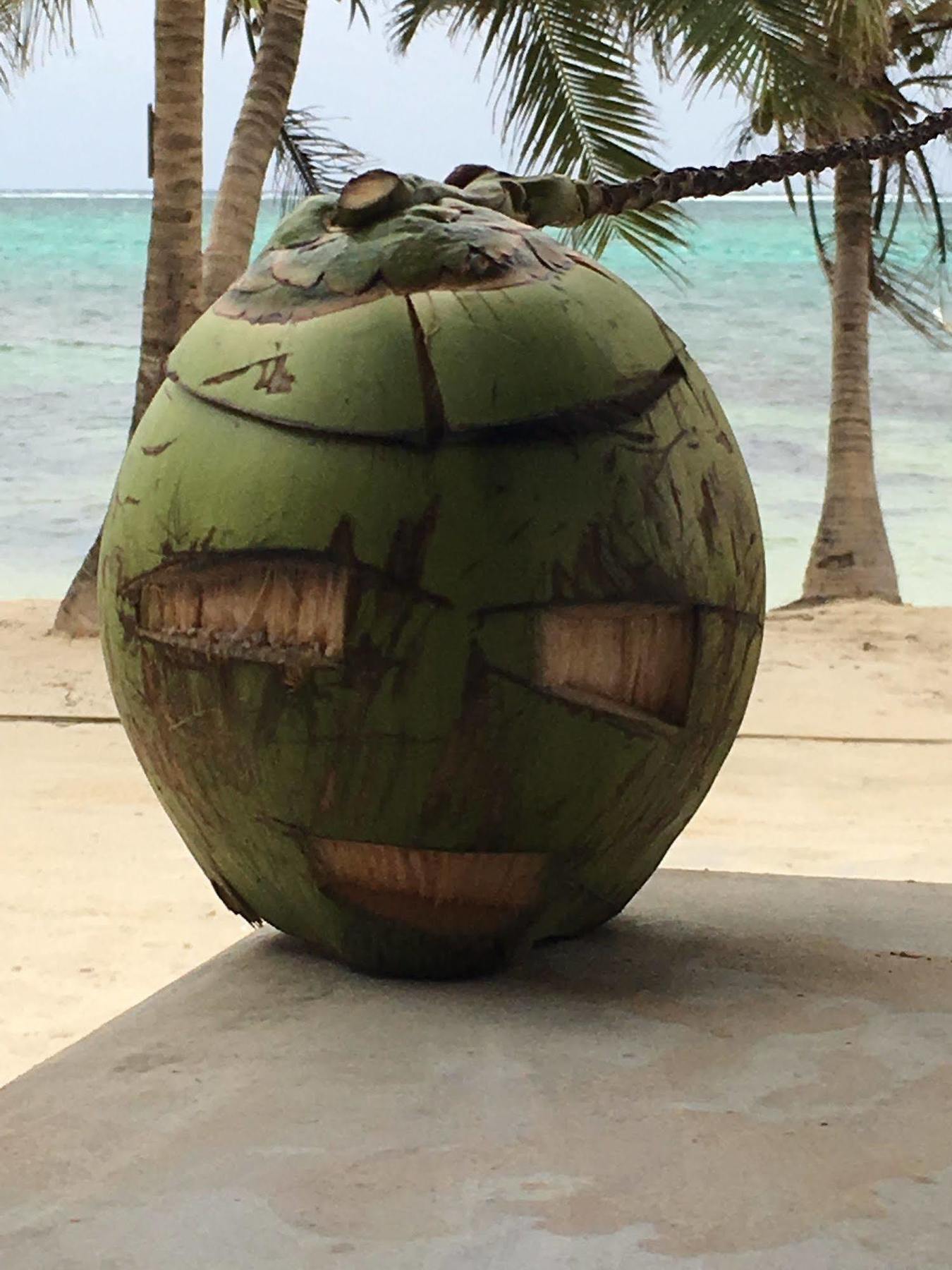 The Palapa House Hotel San Pedro  Exterior photo